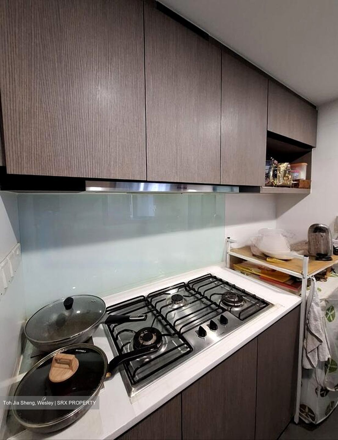 RiverParc Residence (D19), Condominium #458133811